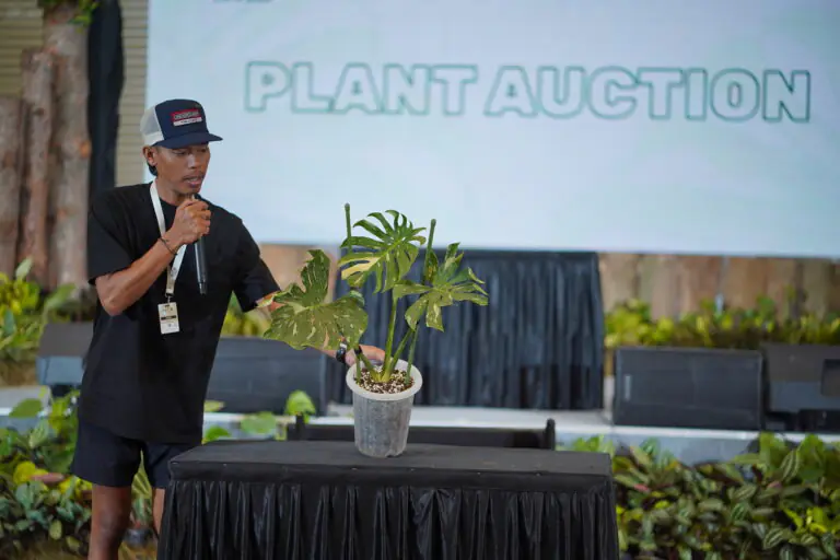 FOTO PENDUKUNG 5 (3)