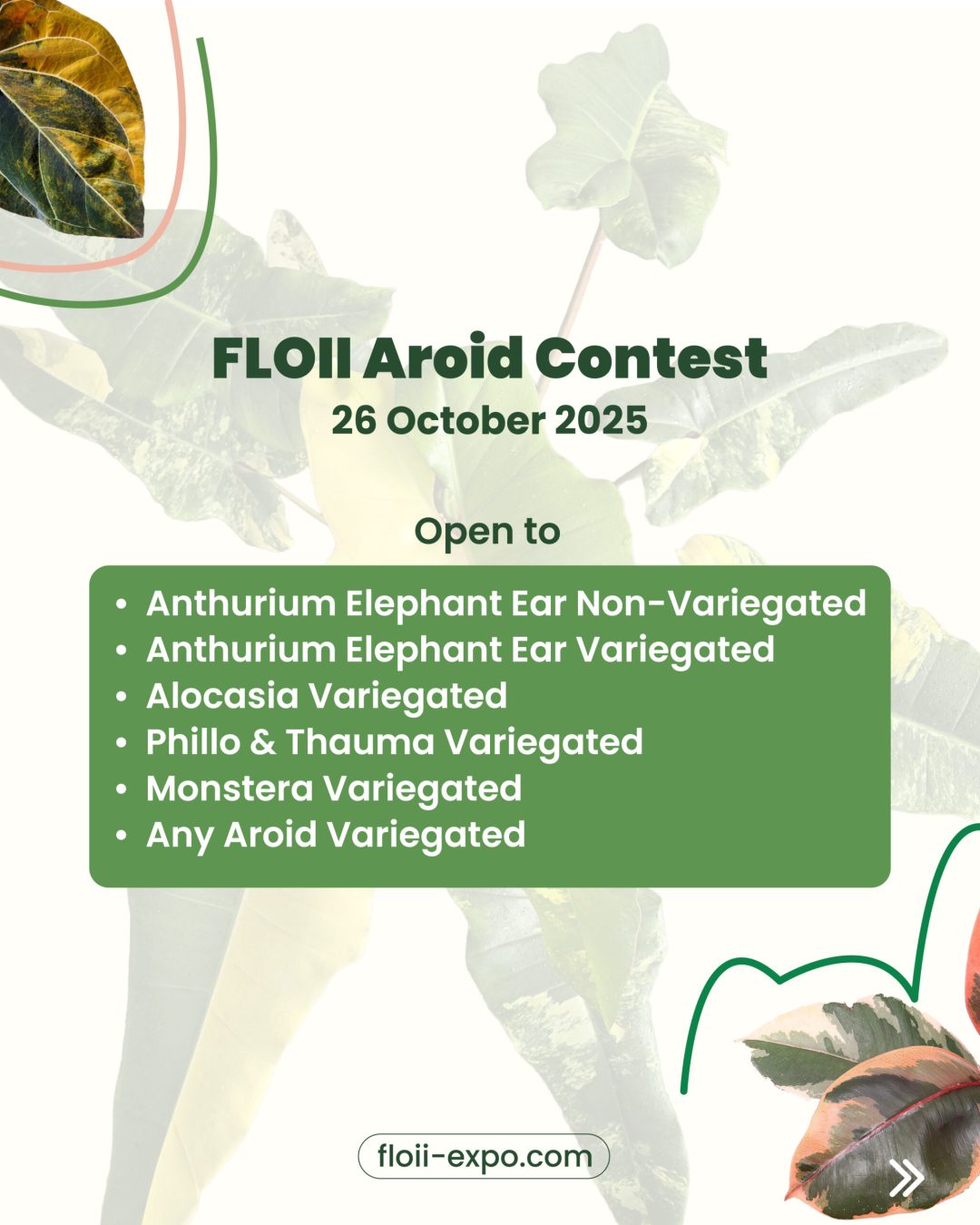 aroid