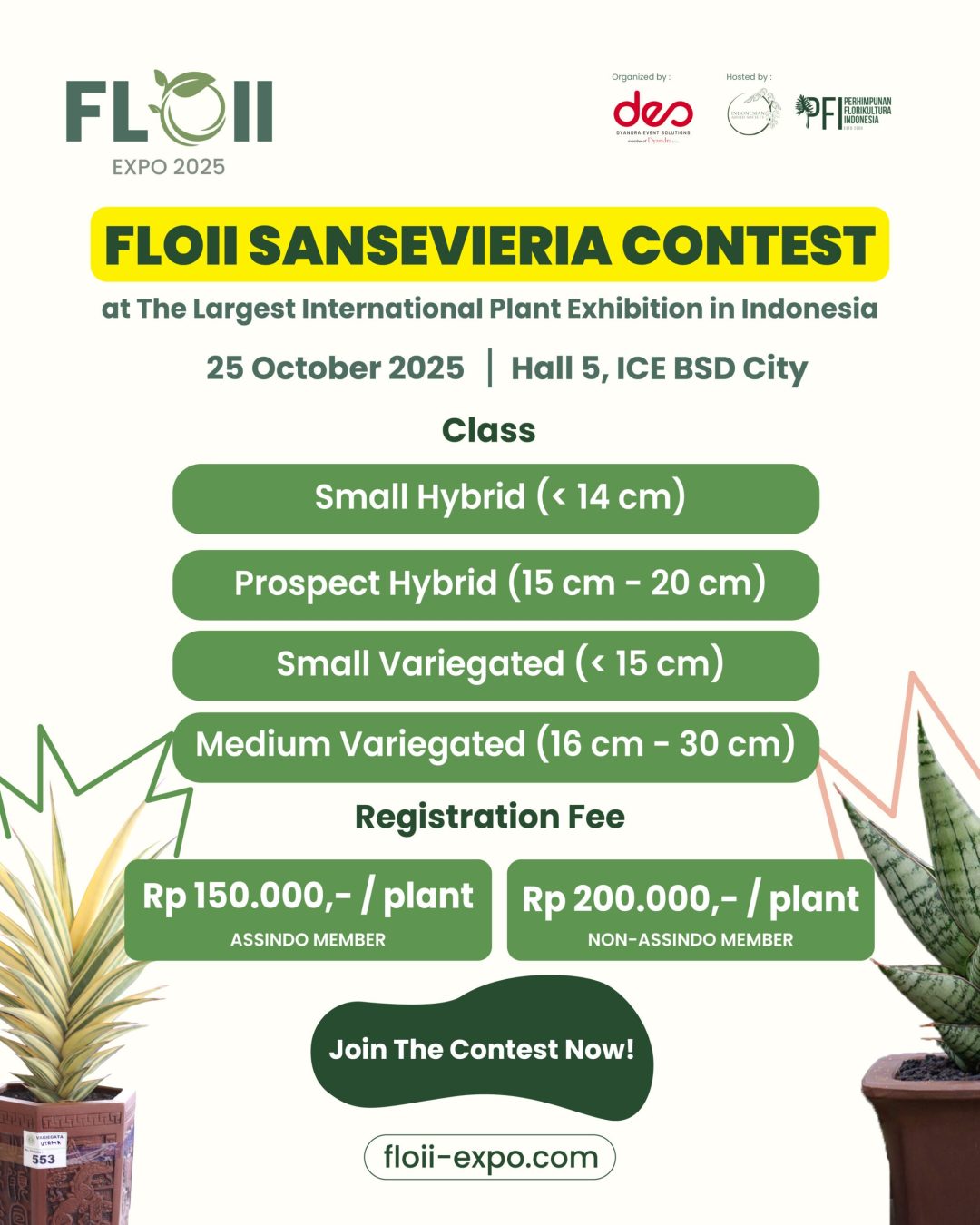 FLYER IG KONTES SANSEVERIA NEW REVISI_POST 1 SANSE 4