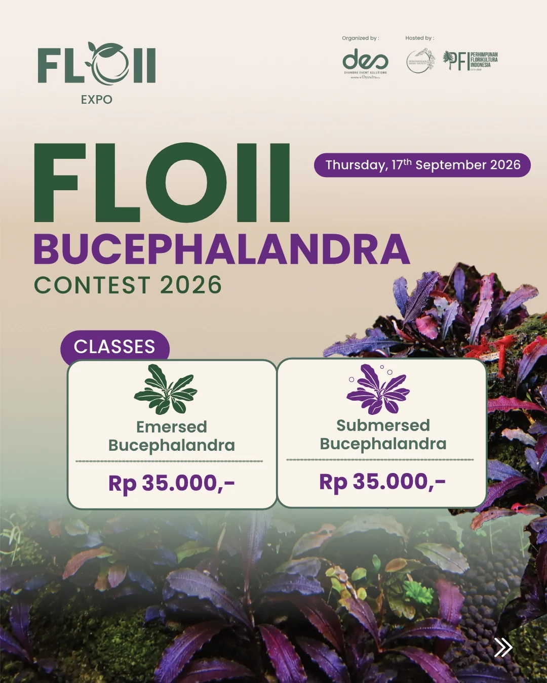 FLOII BUCEPHALANDRA CONTEST