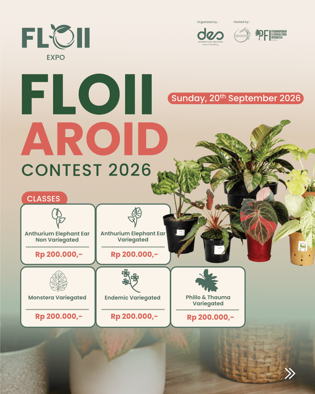 FLOII AROID CONTEST