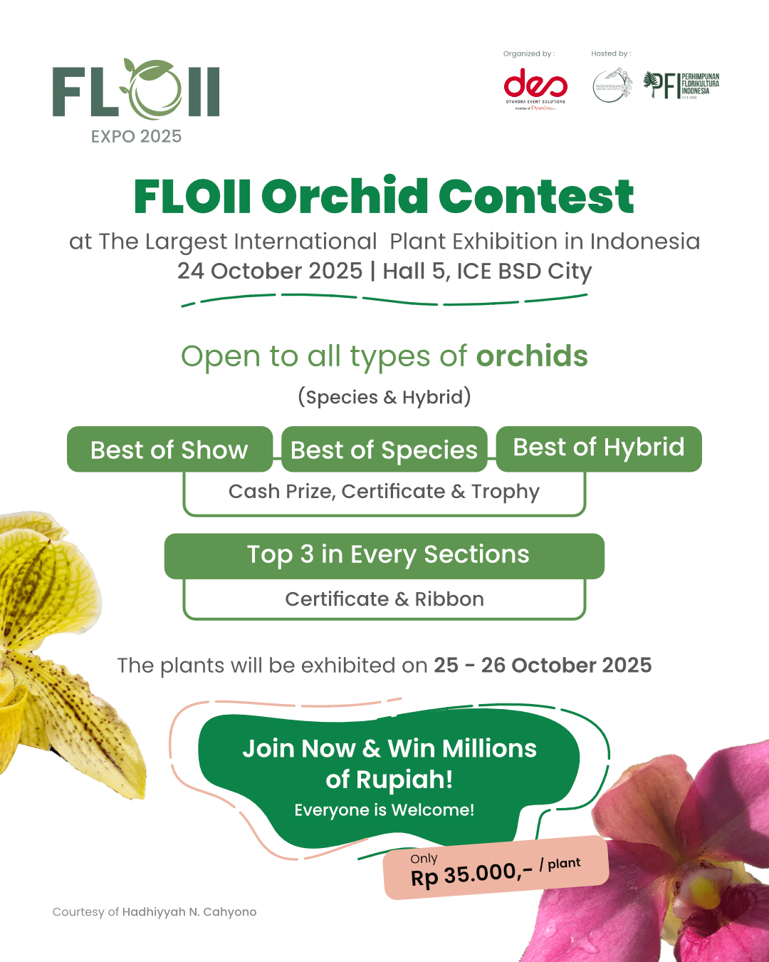 KONTEN FLOII_ORCHID CONTEST